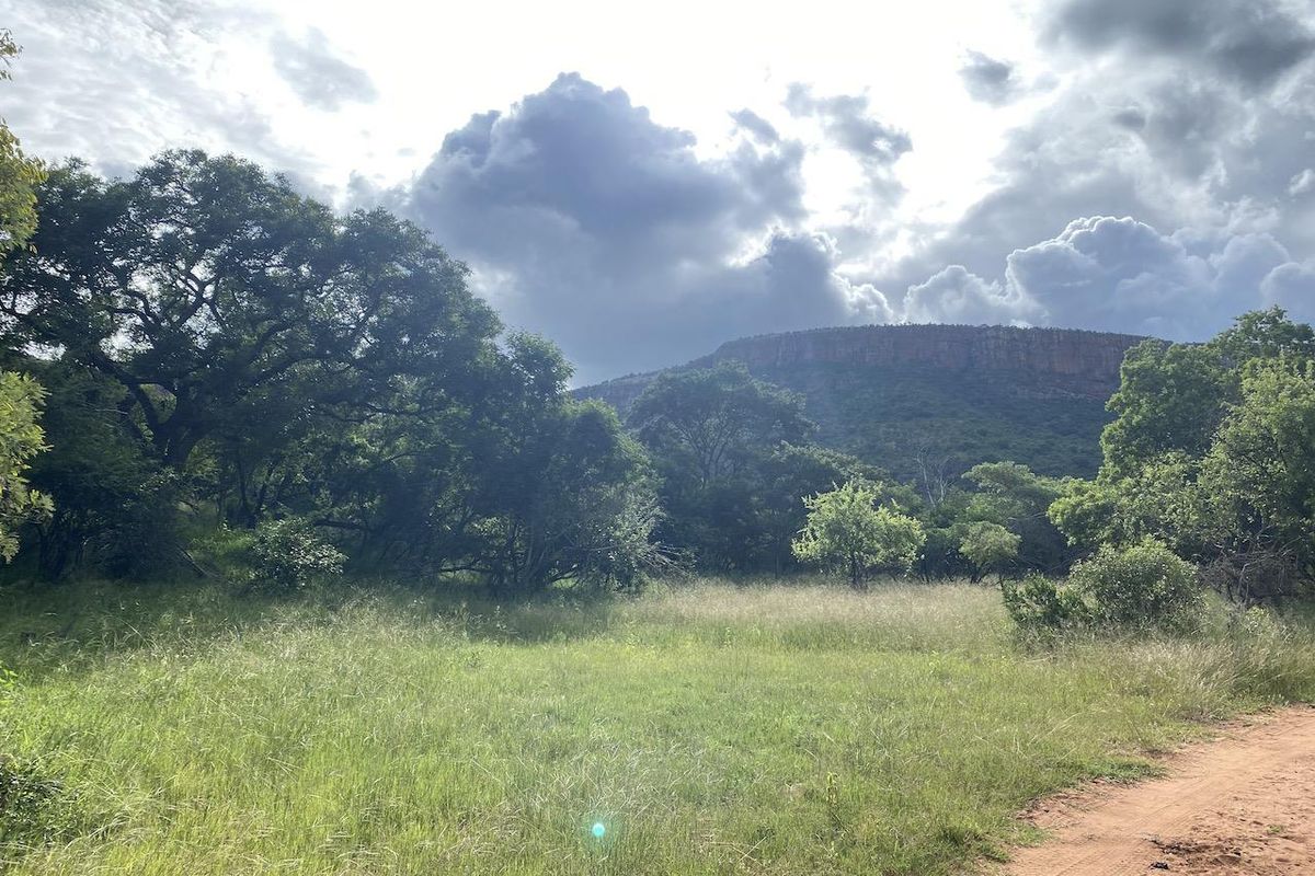 Build Your Dream Home - Photo 3