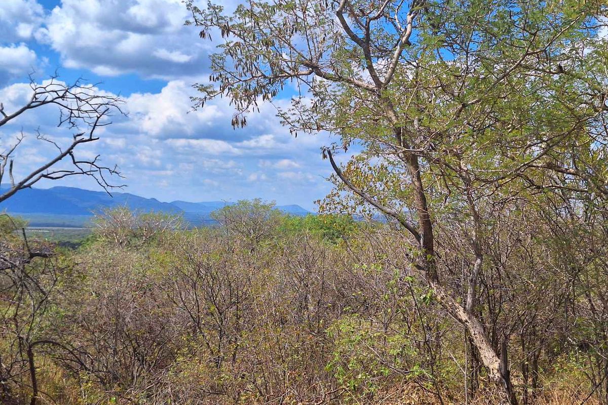 Infinite Beauty - Limited Sstands - Photo 4