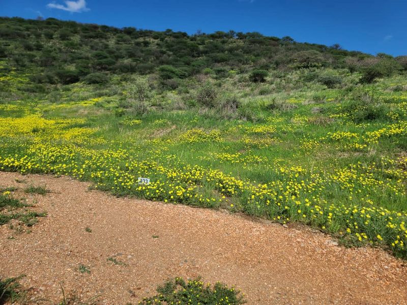 AUASBLICK EXT 1 - PH 1 & 2 - RESIDENTIAL ERVEN FOR SALE: - Photo 2