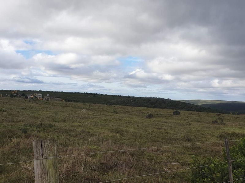 50 hectares with So much potential - Photo 5