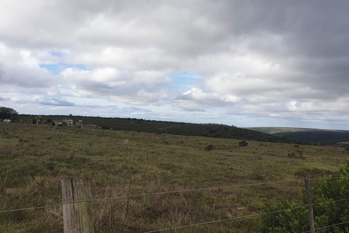 50 hectares with So much potential - Photo 5