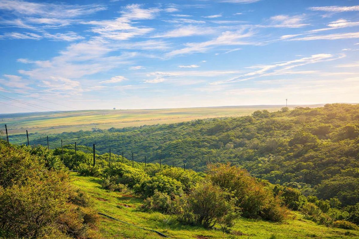 Prime 1035m2 Stand in Kloofsig Estate, Vleesbaai for Sale - Photo 4