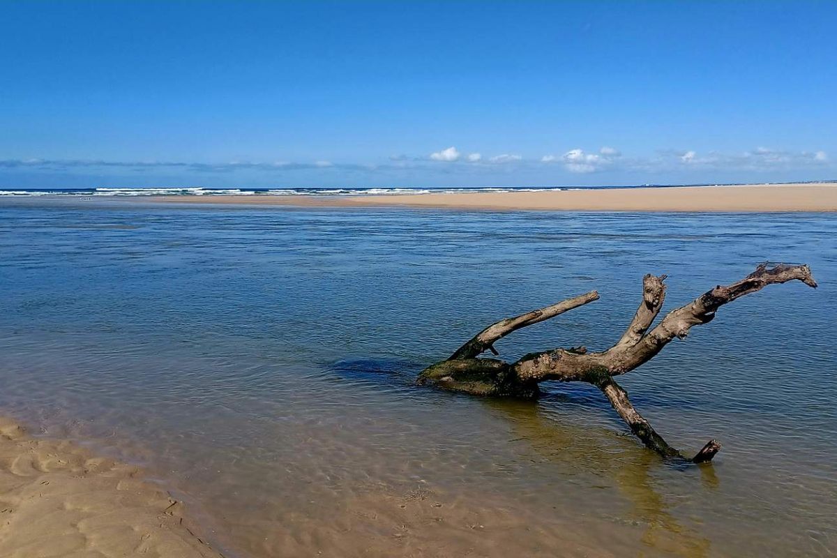 A scenic view of the coastal landscape, featuring a tranquil river mouth meeting the ocean with sandy banks.