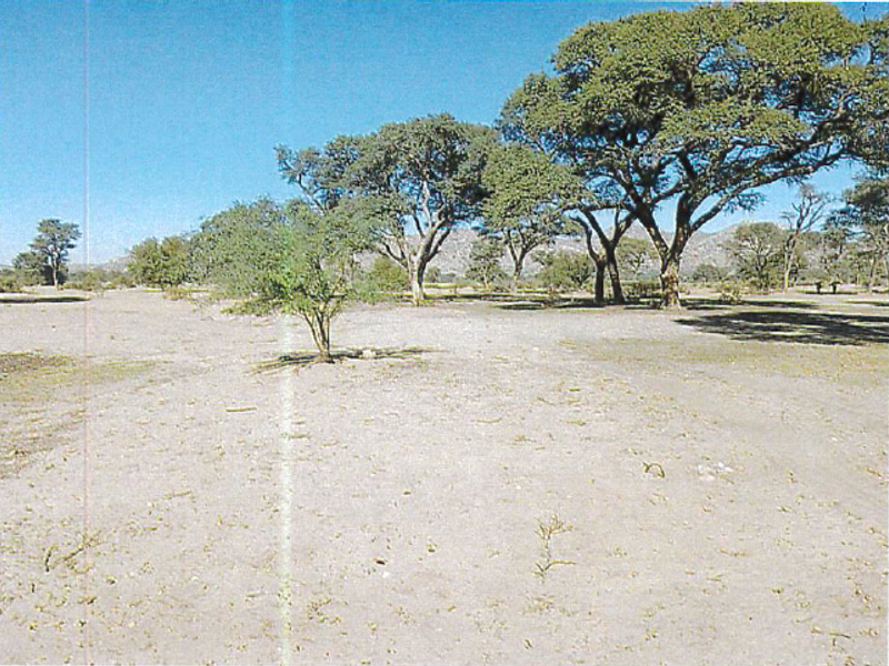 A view of open agricultural land featuring mature trees and natural terrain.