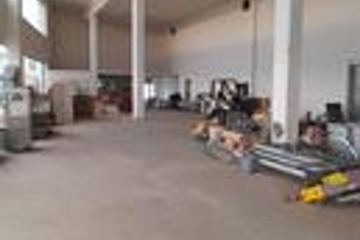 Spacious industrial utility area featuring high ceilings, structural columns, and durable concrete flooring, suitable for various commercial or storage applications.