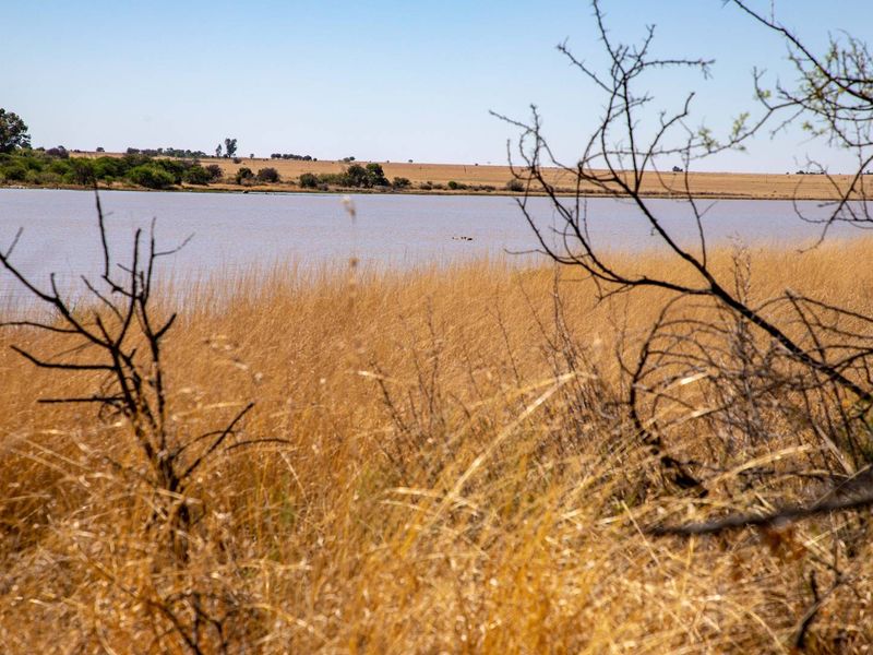 Vacant Land with Dam Views – Weltevrede Dam, Koppies - Photo 4