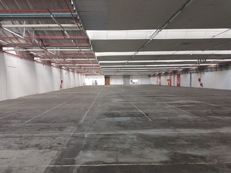 Expansive industrial warehouse space featuring high ceilings with exposed steel trusses, fire sprinkler system, concrete flooring, and natural light through integrated skylights.