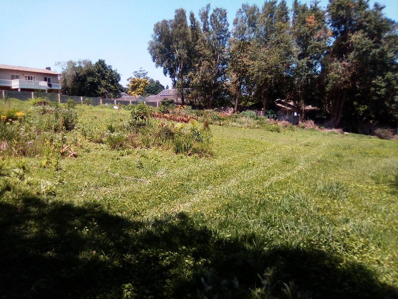 Super Find- Rare Gem of Land in WInston Park - Photo 4