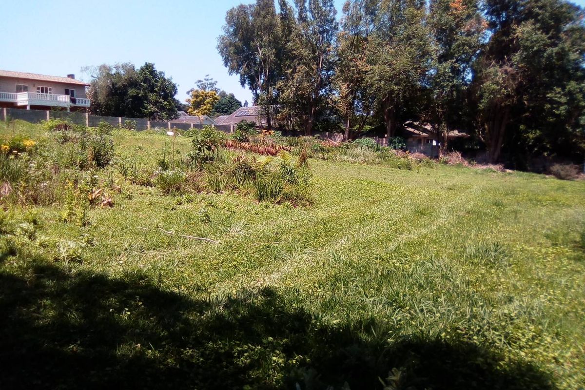 Super Find- Rare Gem of Land in WInston Park - Photo 4