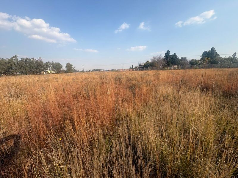 Vacant Land with Endless Potential - Photo 3
