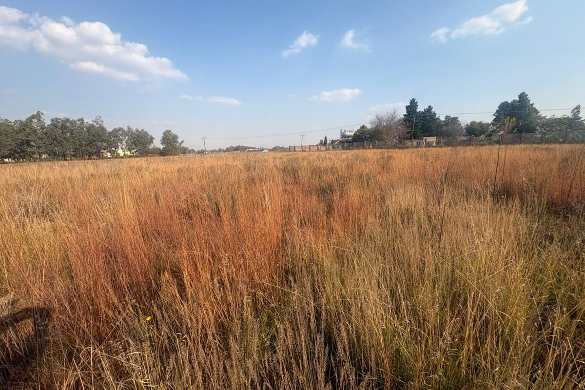 Vacant Land with Endless Potential - Photo 3