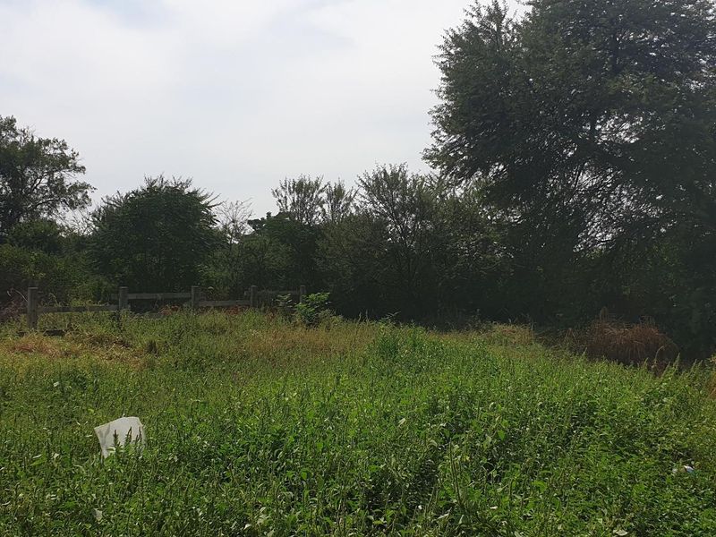 Land for Sale - Photo 4