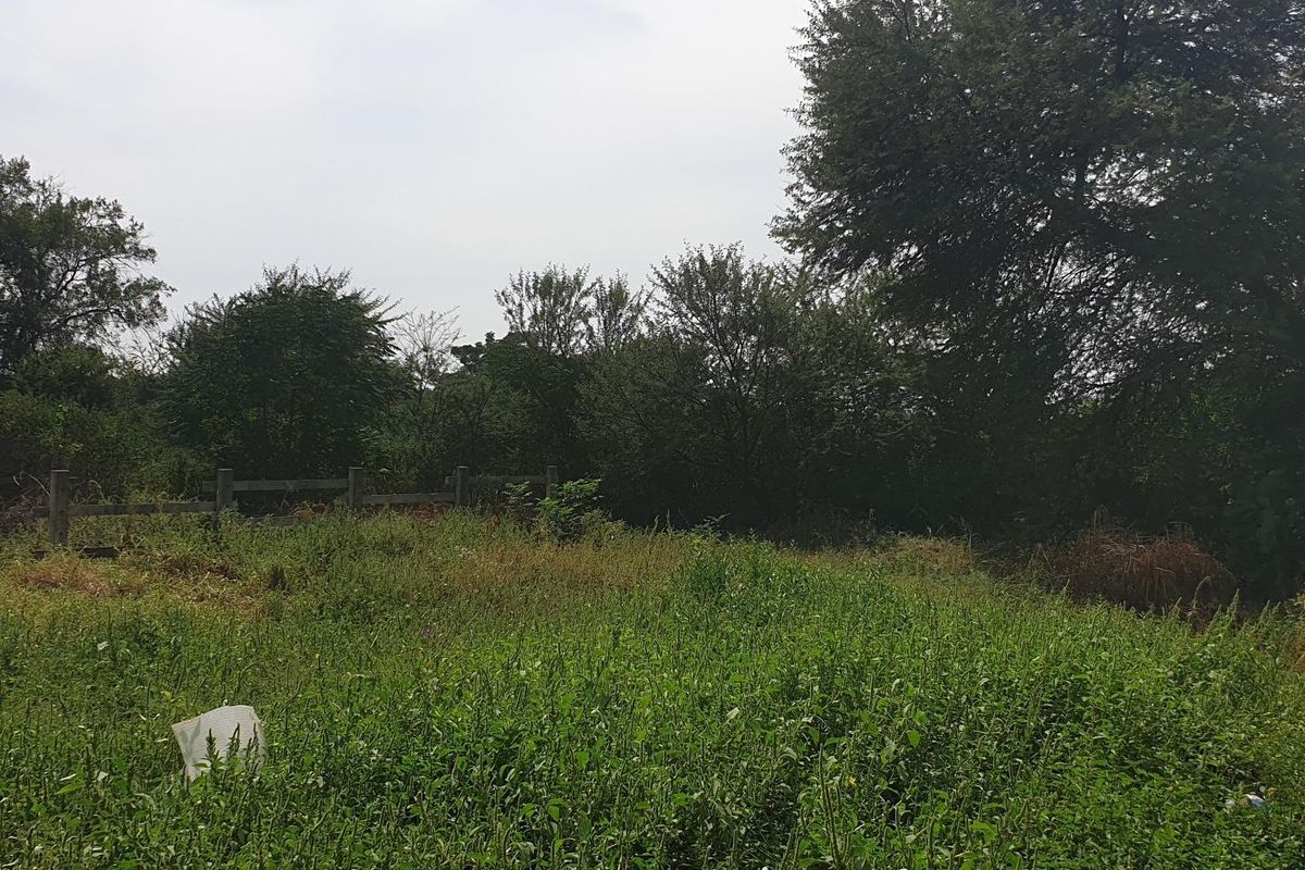 Land for Sale - Photo 4