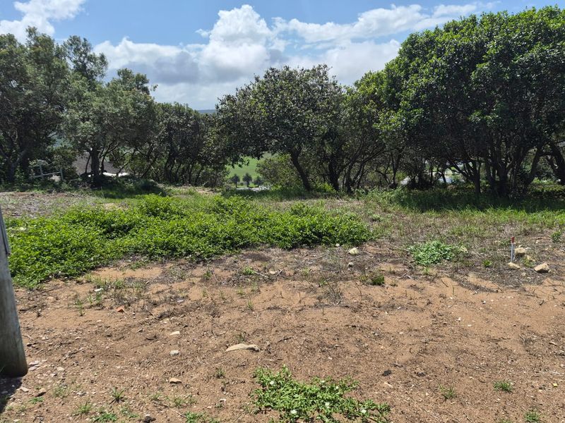 Vacant 1167m2 Stand with Scenic Views Over Groot Brak River on the Garden Route - Photo 2