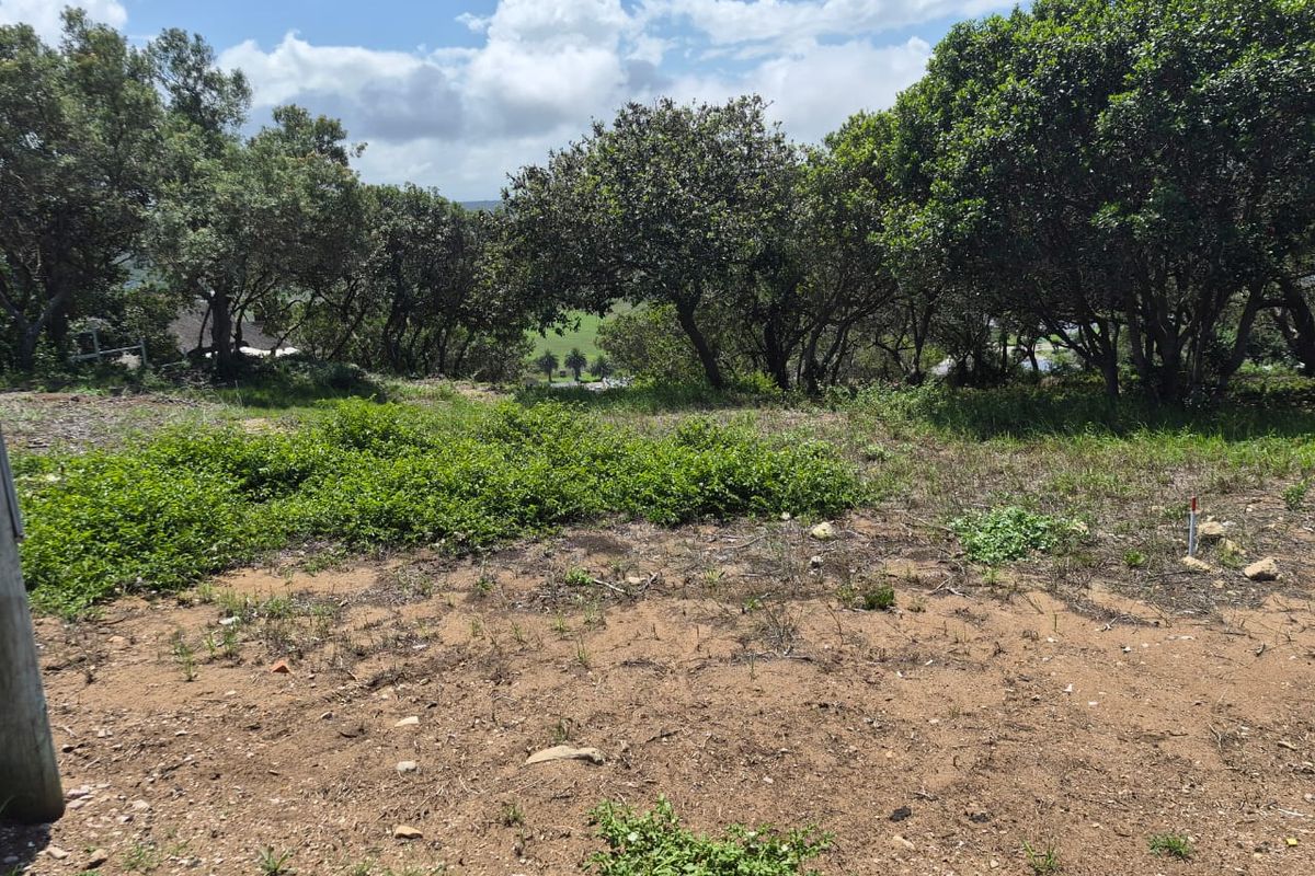 Vacant 1167m2 Stand with Scenic Views Over Groot Brak River on the Garden Route - Photo 2