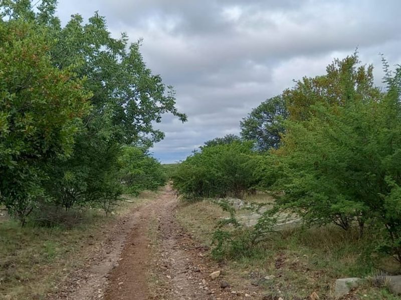 Undeveloped Vacant Land For Sale in Musina. - Photo 3
