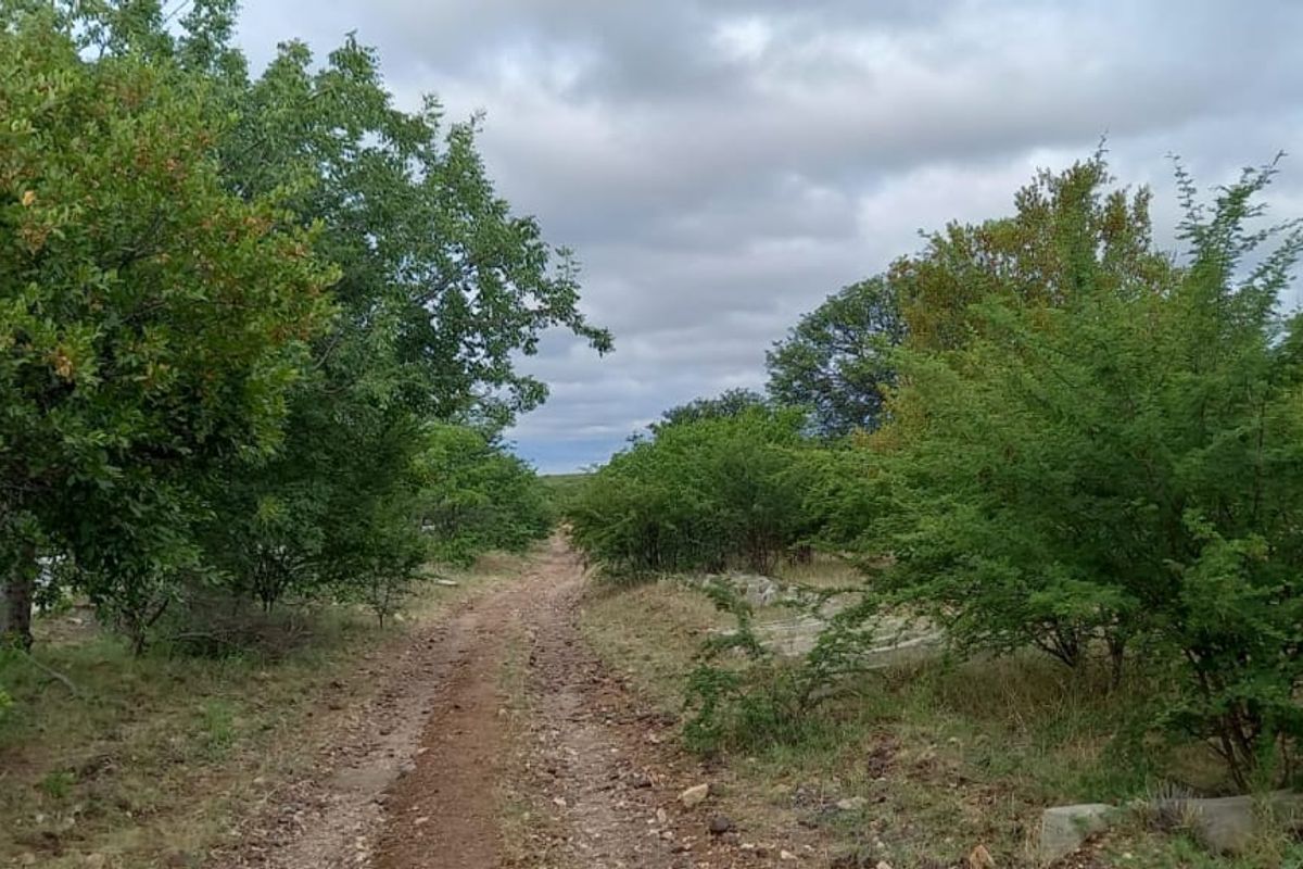 Undeveloped Vacant Land For Sale in Musina. - Photo 3