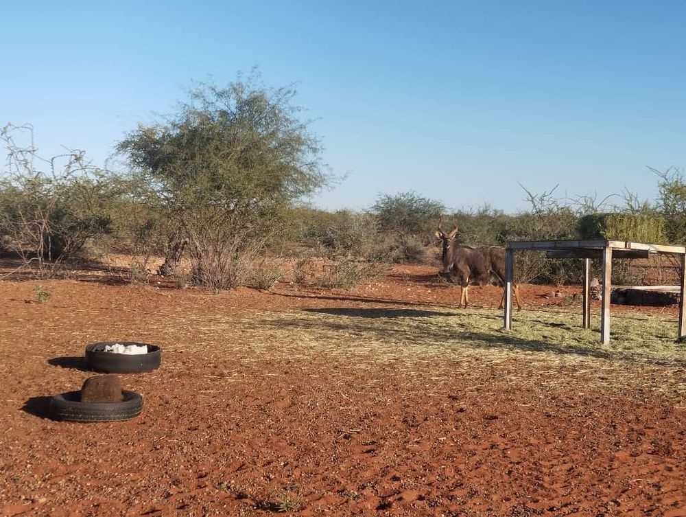 overview of farm land