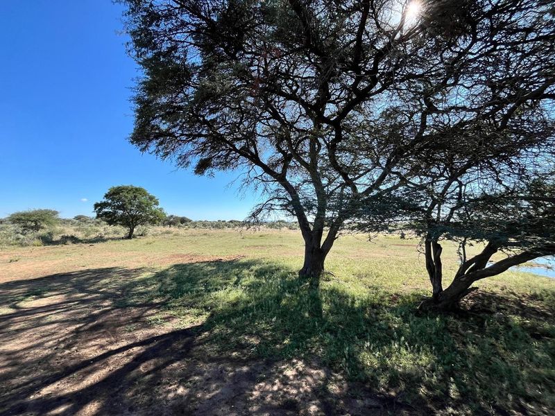 A beautiful, well-established cattle farm in the sought-after Otavi area — known for its excellent grazing and reliable rainfall. - Photo 3