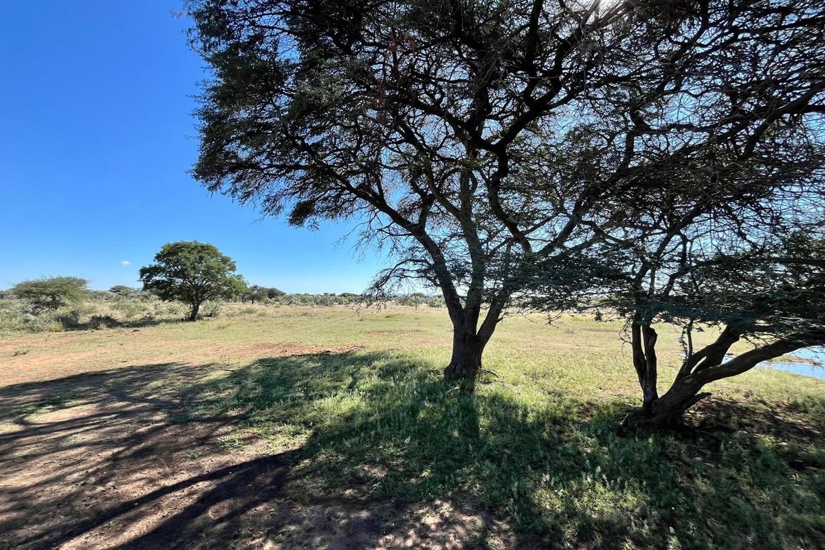 A beautiful, well-established cattle farm in the sought-after Otavi area — known for its excellent grazing and reliable rainfall. - Photo 3