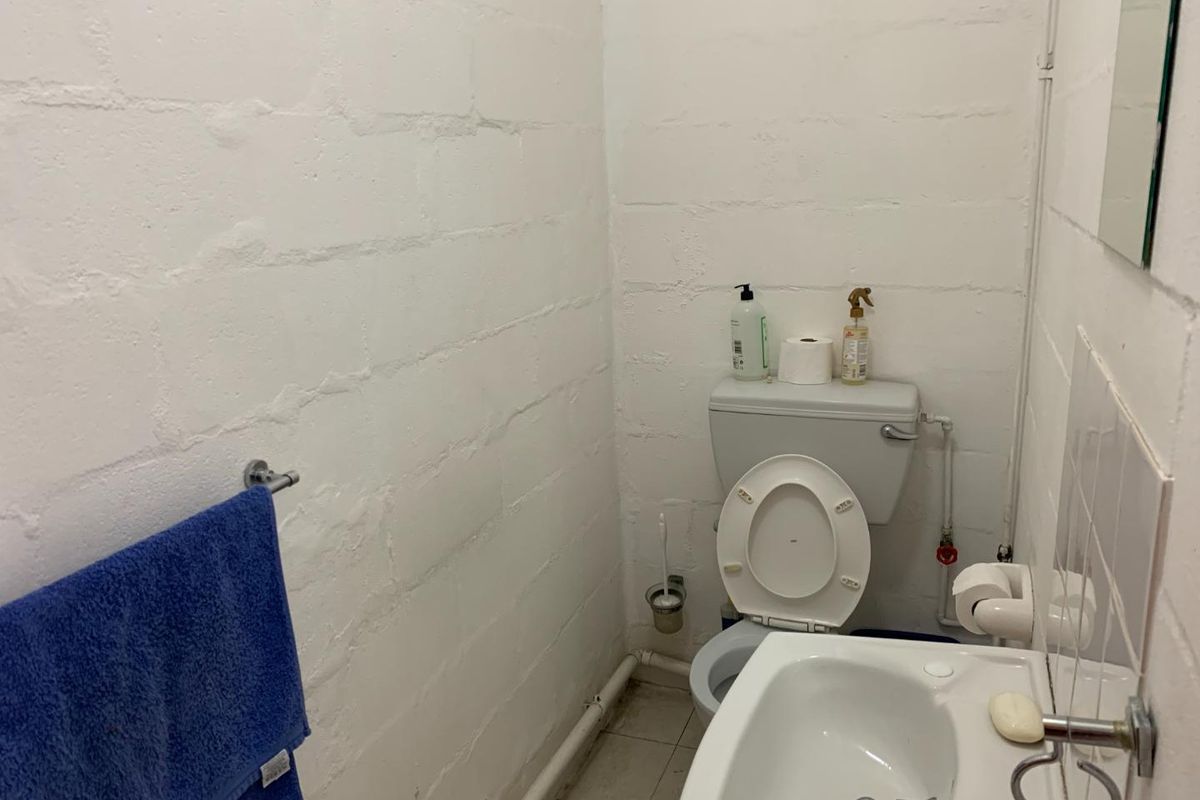 A compact bathroom featuring a standard toilet, washbasin, and exposed pipework with painted blockwork walls.