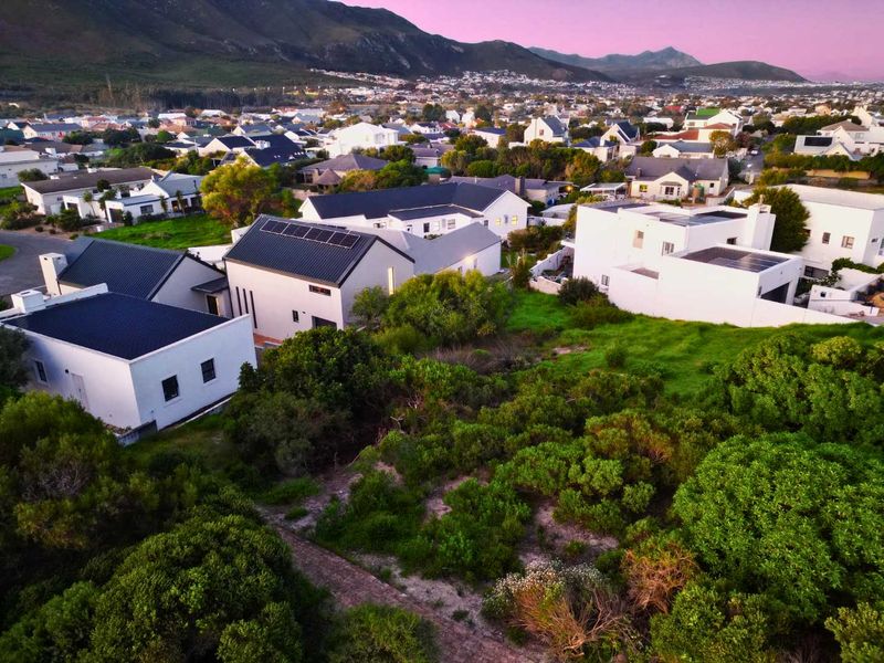 Where Fynbos, Mountain and Sea Write the Story! - Photo 9