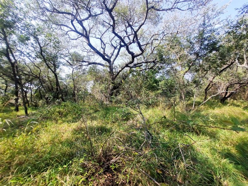 1.9-hectare riverfront stand for sale in Moditlo Wildlife Estate - Photo 7