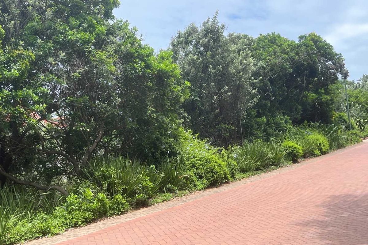 An Exclusive Opportunity to Build a Bespoke Forever Home in Zimbali With Unparalleled, Sweeping Views - Photo 4