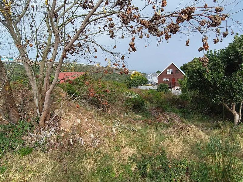 910m2 Vacant Land with Sea View in a Distance for Sale in Dana Bay - Photo 4