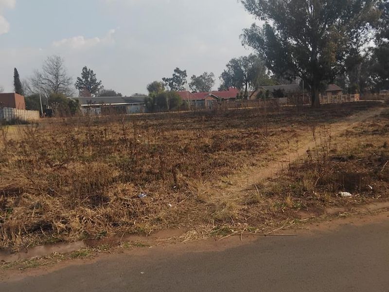 A view of a vacant residential plot of land featuring mature trees and direct street access.