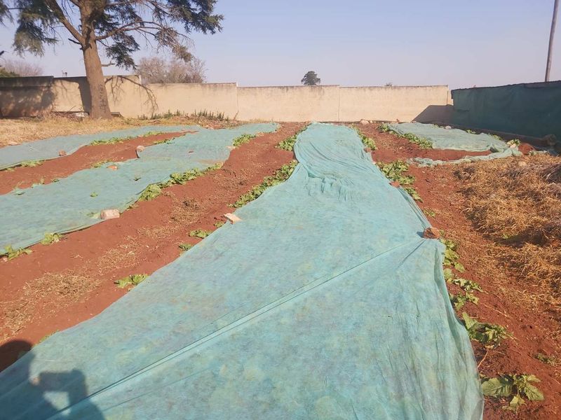 Massive Agricultural property with vegetable gardens and chicken coops - Photo 10