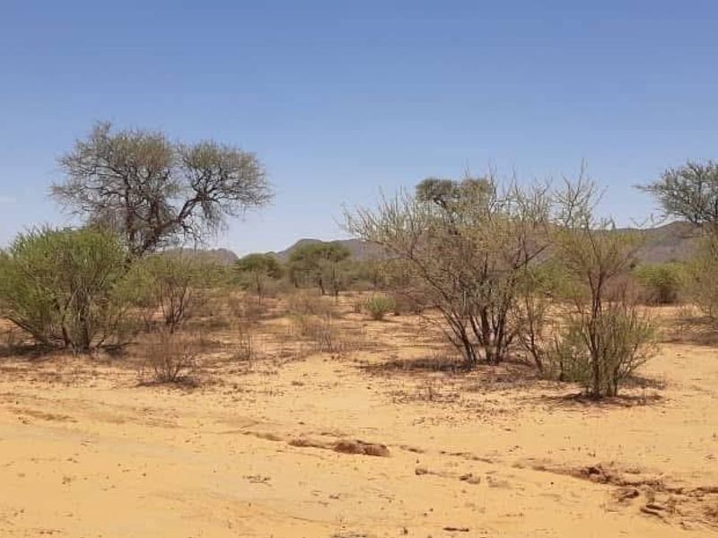 10 Hectares Plot for Sale!!️ - Photo 2