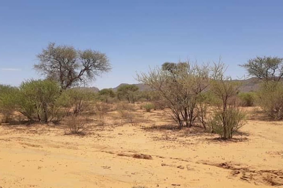 10 Hectares Plot for Sale!!️ - Photo 2