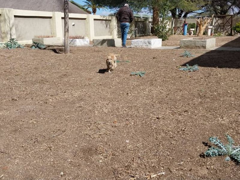 Spacious 2-Bedroom Home with Bonus 1-Bedroom Flat - Photo 9