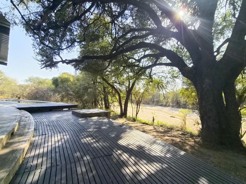 Spacious timber deck area featuring a swimming pool, set under large mature trees with natural bushveld views.