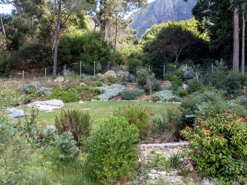 Crème De La Creme - Photo 4