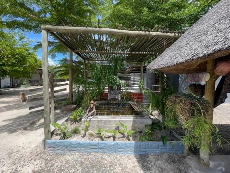 KATIMA MULILO - GUESTHOUSE AND/OR WORKSHOP - Photo 4