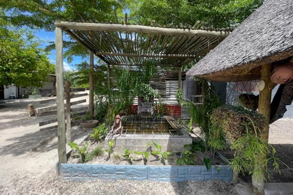 KATIMA MULILO - GUESTHOUSE AND/OR WORKSHOP - Photo 4