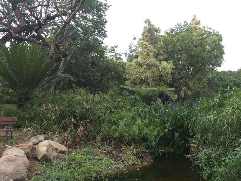 UPMARKET VACANT LAND -DEVELOPERS DREAM! - Photo 2