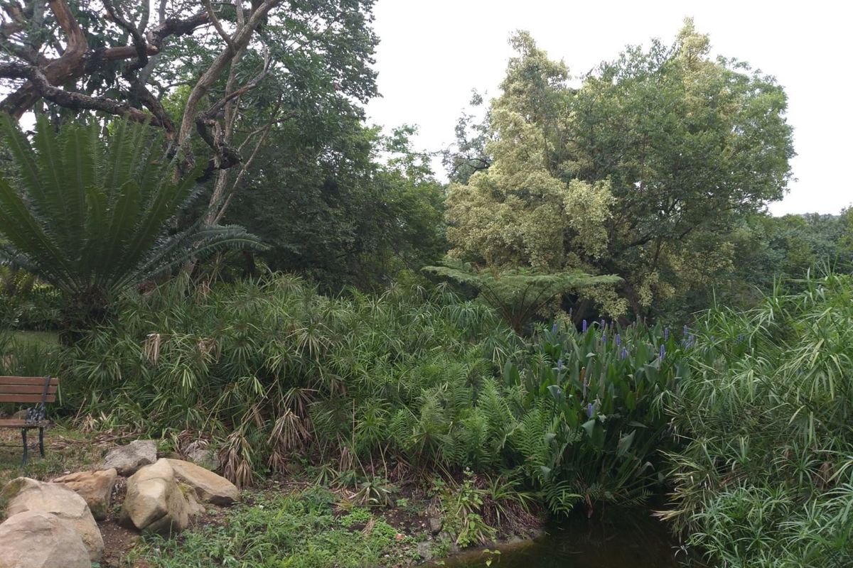 UPMARKET VACANT LAND -DEVELOPERS DREAM! - Photo 2