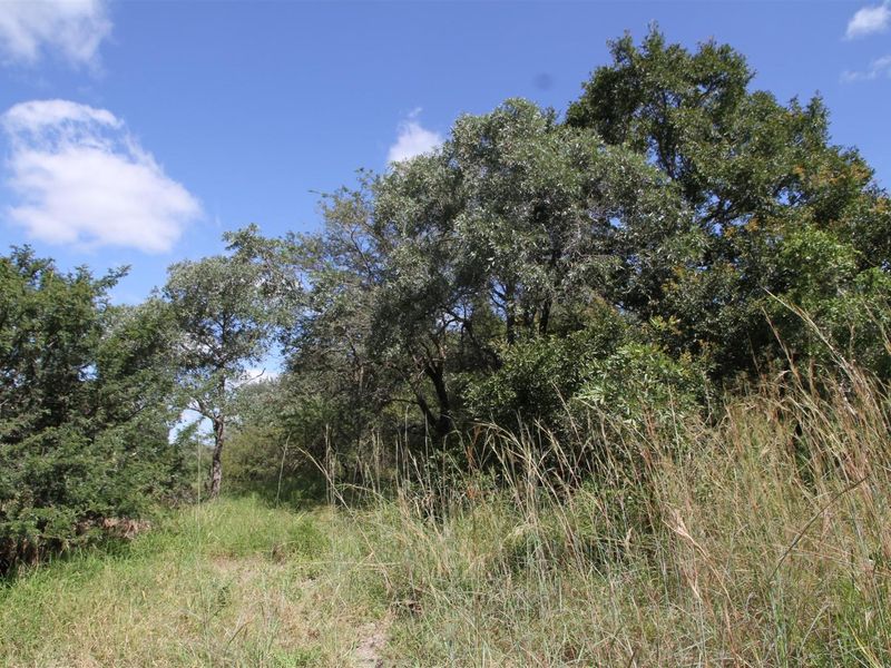 Vacant stand for Sale - Photo 8