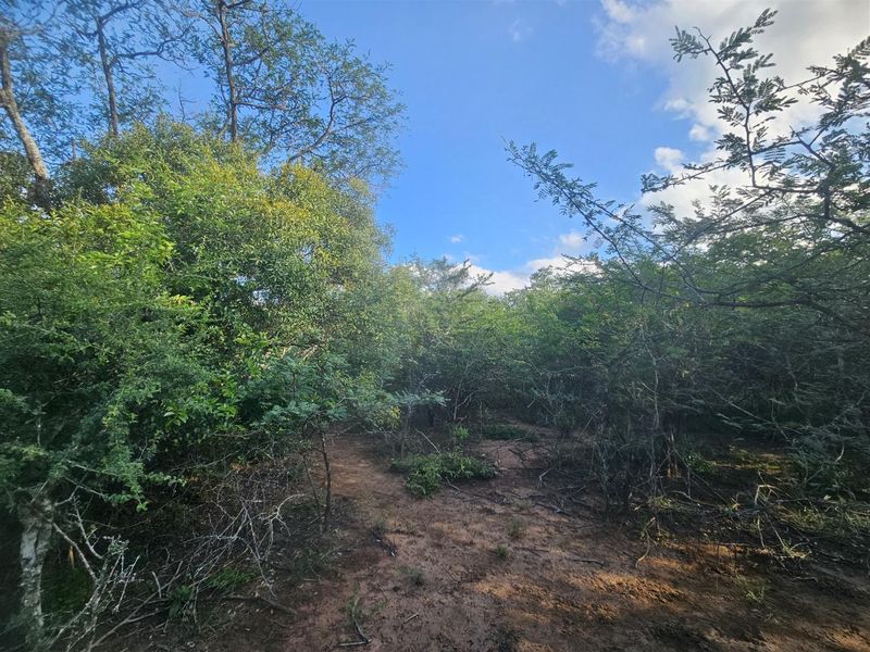 Stand for sale in Moditlo Wildlife Estate - Photo 9