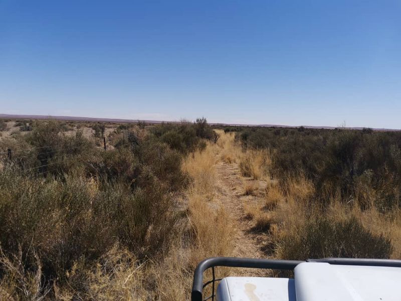 BEAUTIFUL FARM FOR SALE   -  AROAB / KEETMANSHOOP DISTRICT - Photo 5