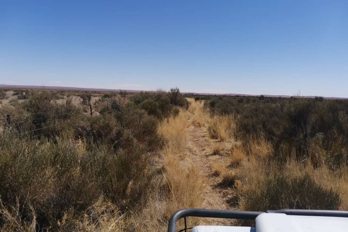 BEAUTIFUL FARM FOR SALE   -  AROAB / KEETMANSHOOP DISTRICT - Photo 5