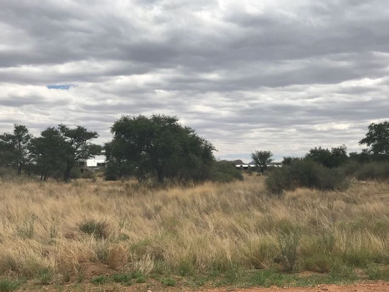 A view of a vacant residential plot featuring natural grassland and scattered indigenous trees under a cloudy sky.