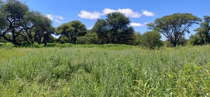 Property #2477035, Vacant Land Residential For Sale in Okahandja Central