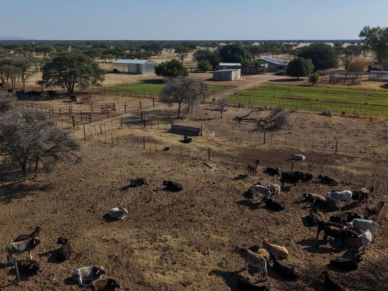 A genuine working farm for the serious agricultural buyer. - Photo 5