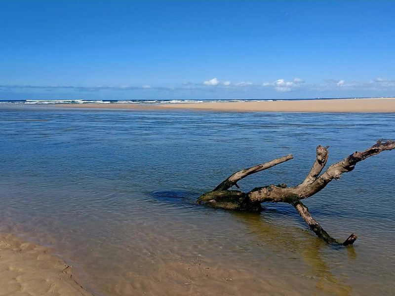 A scenic view of the coastal landscape, featuring a tranquil river mouth meeting the ocean with sandy banks.