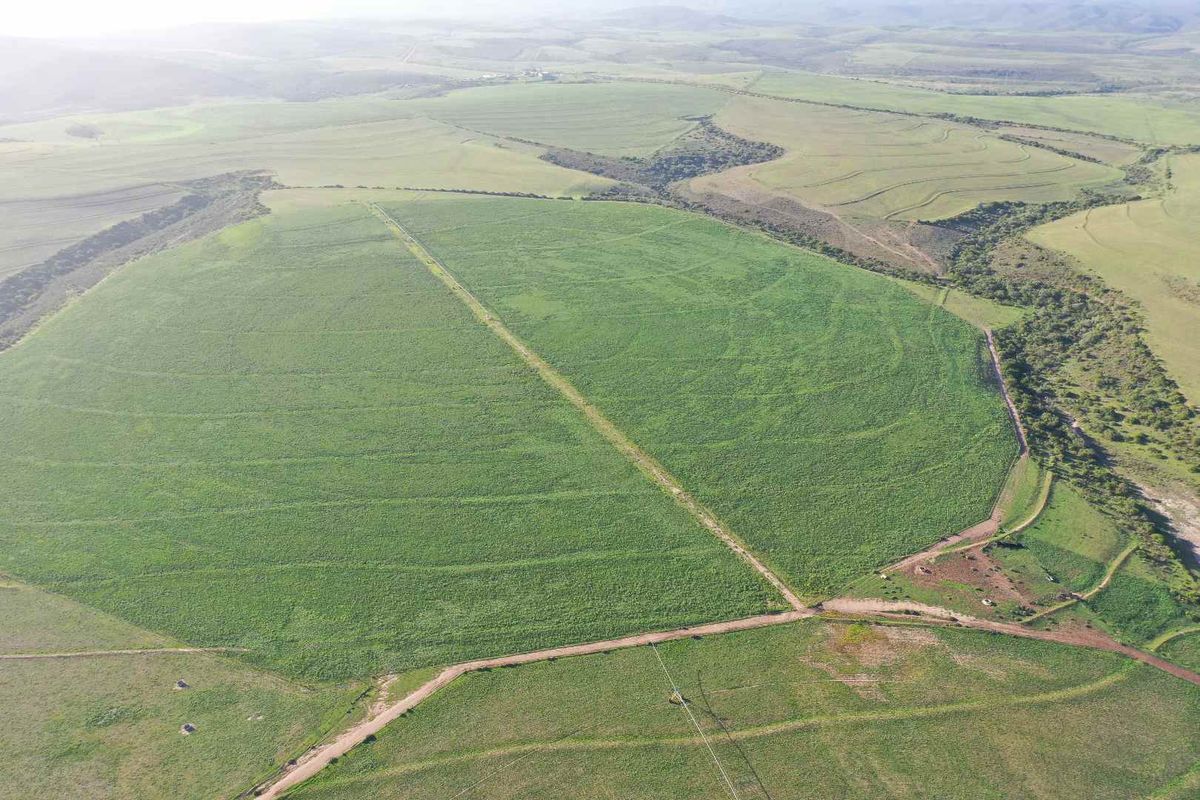An aerial view of a large, cultivated agricultural farm field with visible irrigation patterns and access tracks.