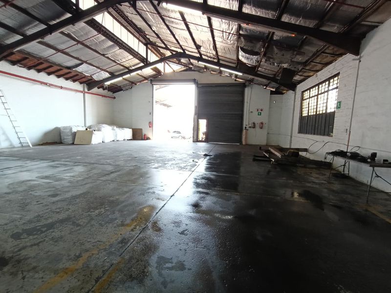 Spacious industrial warehouse featuring high ceilings with exposed steel trusses, concrete flooring, and a large roller shutter door for vehicle access.